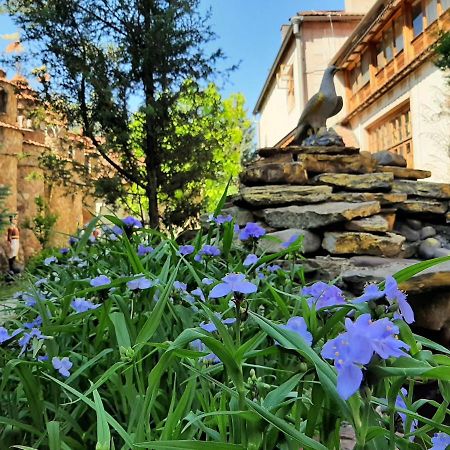 Усадьба-Музей Hotel Tirnauca Buitenkant foto